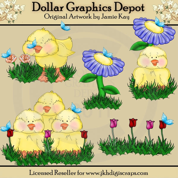 Baby Chicks and Blooms