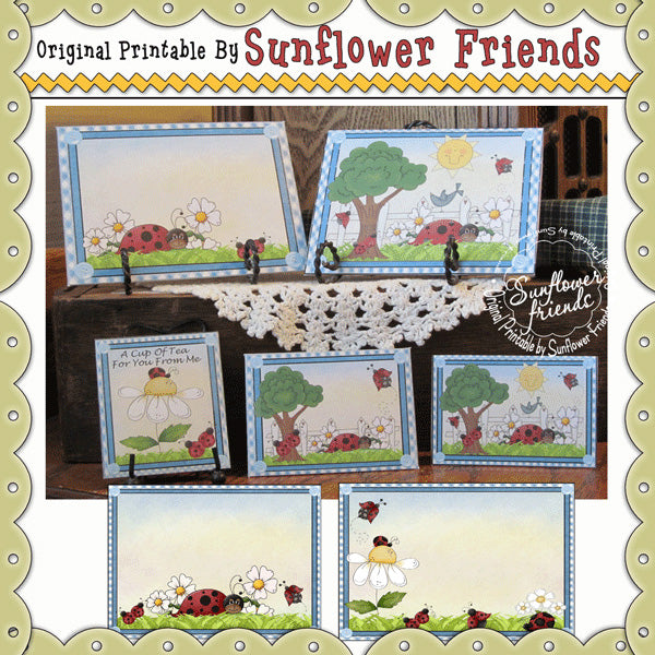 Set di carte Lady Bug