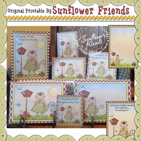 Monkey Business... Illumina la mia giornata... Set di biglietti