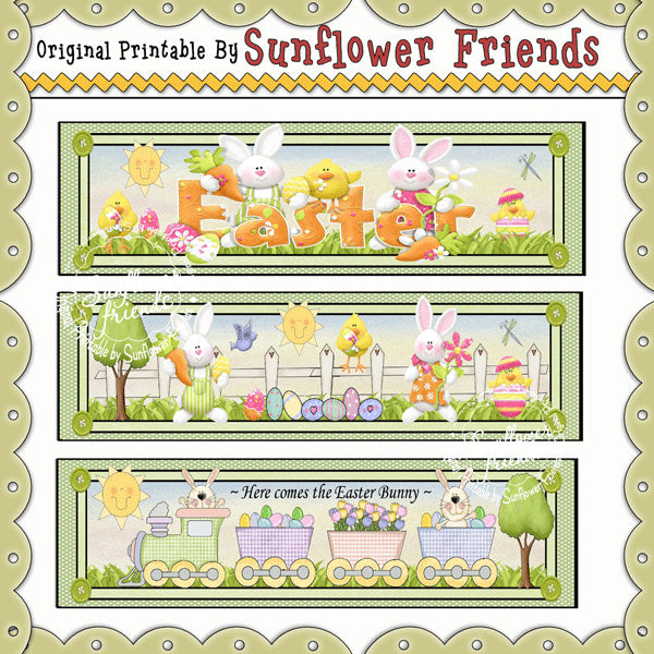 Envolturas para botellas de agua de Pascua... Juego de 3