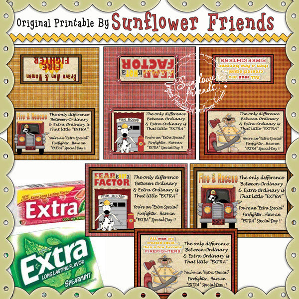 Extra Ordinary Firefighter...Set of 3 Toppers