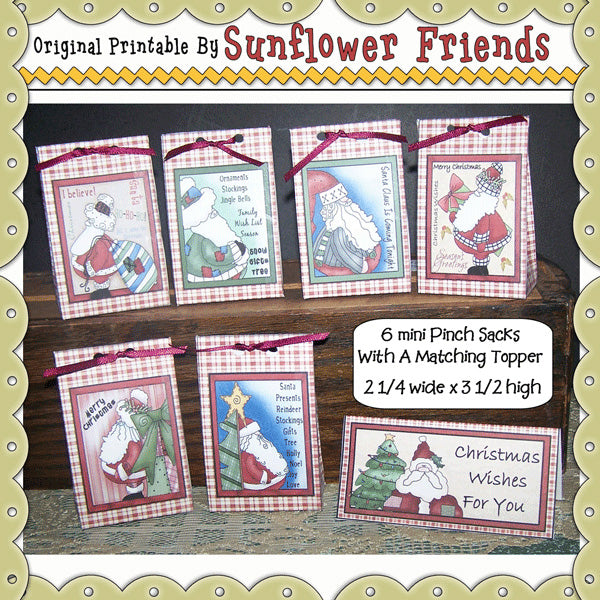 Santa Pinch Sacks...Set of 6