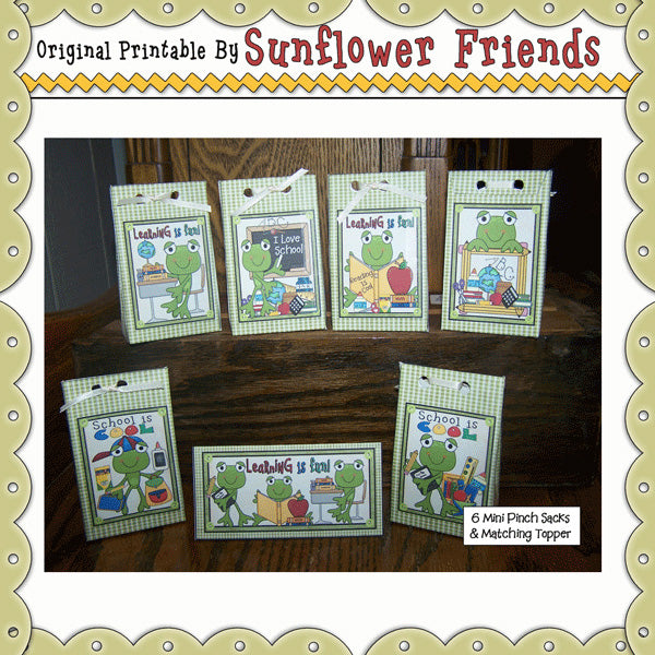 ~School Frogs~ Juego de 6 mini sacos de pellizco