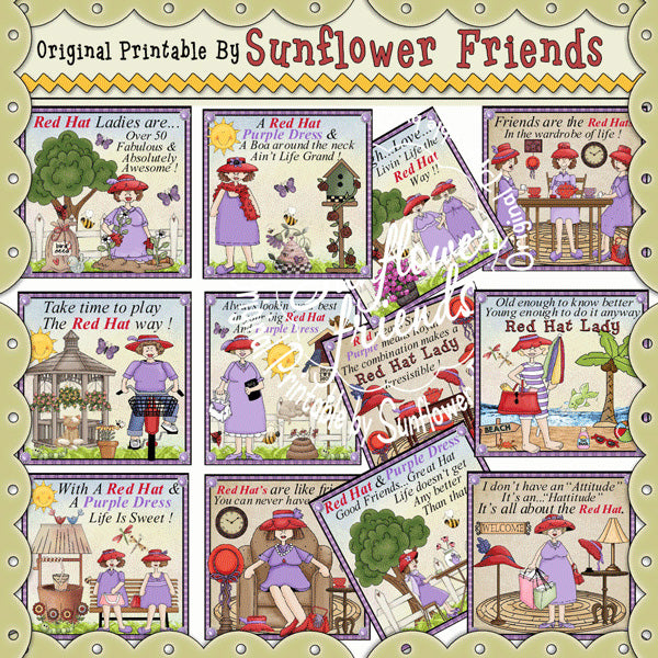 Red Hat Señoras 2x2 Imanes... Conjunto de 12