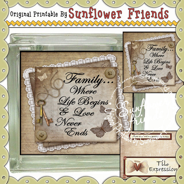 Set di piastrelle e mattoni di vetro per famiglie (62)