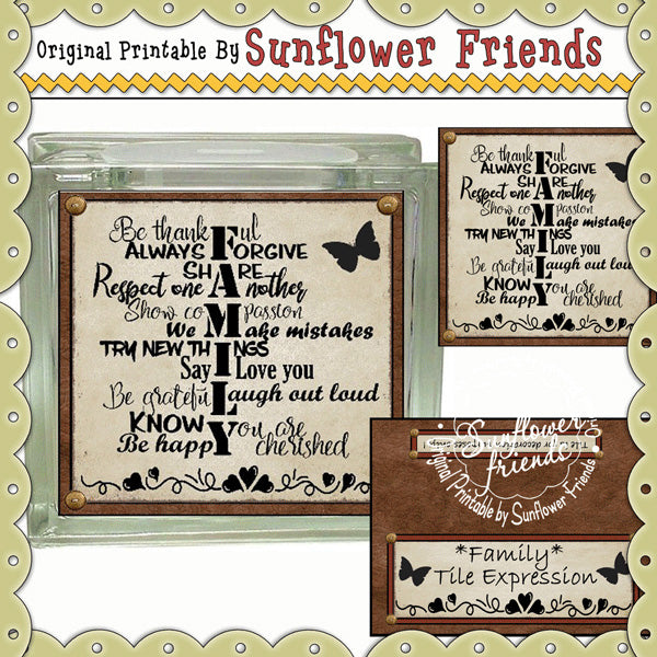 Family Life Glass Block & Tile Set (64)