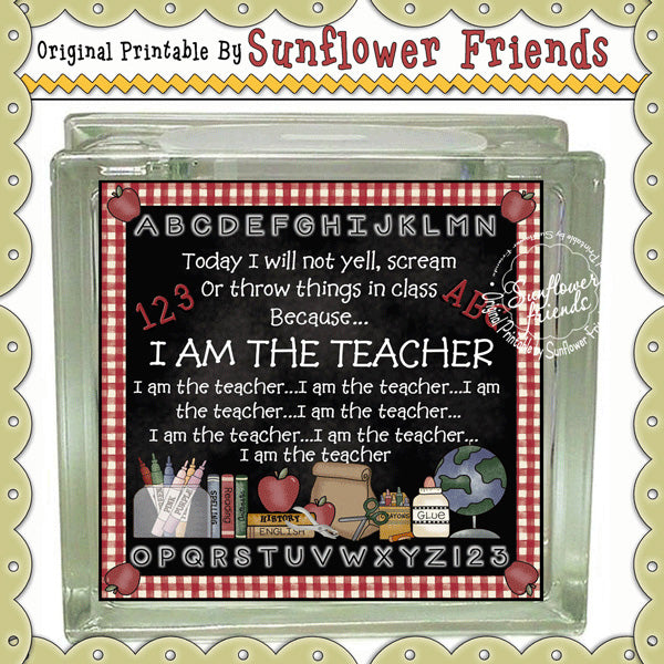 Teacher_105...Glass Blocks & Tile Set