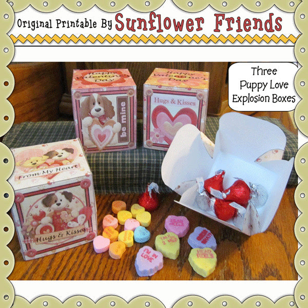 Puppy Love _Set di 3 scatole esplosive di San Valentino