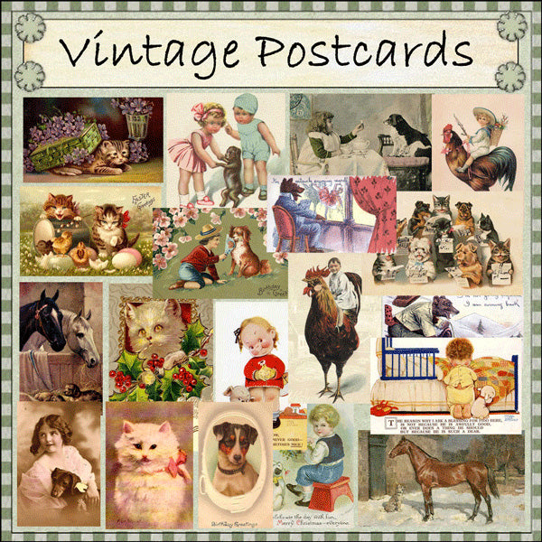 Vintage Animal Postcards