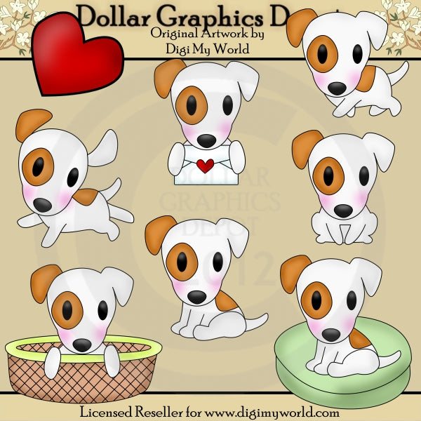 Spot - Jack Russell Terrier
