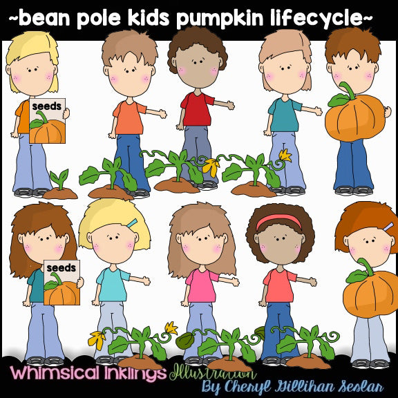 Bean Pole Kids Pumpkin Lifecycle